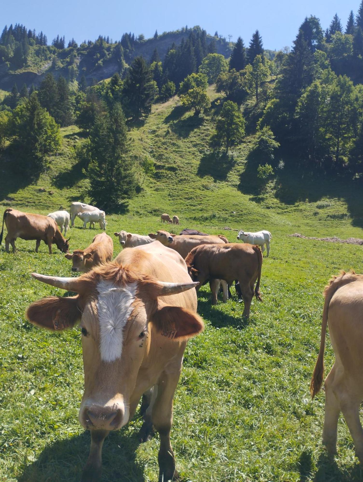 Le Gite Du Val فلوميه المظهر الخارجي الصورة